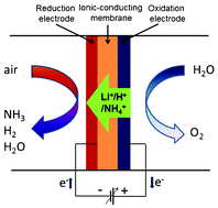 Graphical abstract: Electrochemical synthesis of ammonia directly from air and water using a Li+/H+/NH4+ mixed conducting electrolyte
