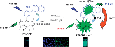 Graphical abstract: A highly selective turn-on fluorescent chemosensor for Al3+ imaging in living cells via through-bond energy transfer