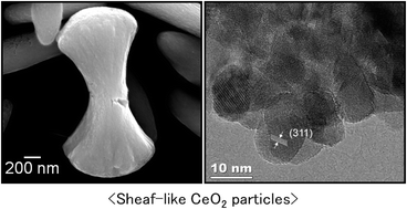 Graphical abstract: Preparation of nanostructured CeCO3OH particles from aqueous solutions and gels containing biological polymers and their thermal conversion to CeO2