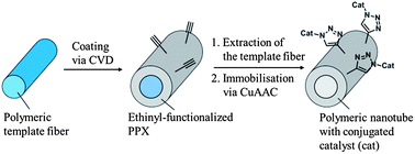 Graphical abstract: Immobilization of catalysts in poly(p-xylylene) nanotubes