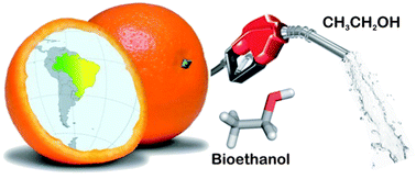 Graphical abstract: Orange waste as a biomass for 2G-ethanol production using low cost enzymes and co-culture fermentation