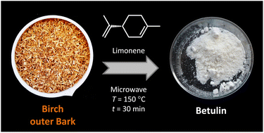 Graphical abstract: Microwave assisted extraction of betulin from birch outer bark