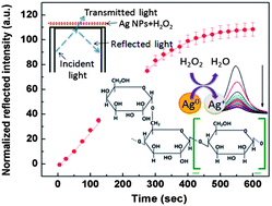 Graphical abstract: A sensitive hydrogen peroxide optical sensor based on polysaccharide stabilized silver nanoparticles