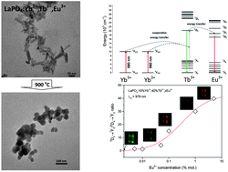 Graphical abstract: Bright and tunable up-conversion luminescence through cooperative energy transfer in Yb3+, Tb3+ and Eu3+ co-doped LaPO4 nanocrystals