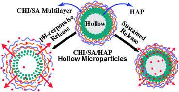 Graphical abstract: Hollow hybrid hydroxyapatite microparticles with sustained and pH-responsive drug delivery properties