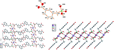 Graphical abstract: Supramolecular networks formation in crystals of 3-carboxybenzylphosphonic acid, its complexes and salts: from coordination bonds to weak intermolecular interactions