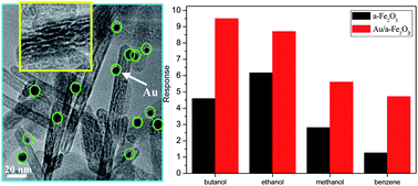 Graphical abstract: Facile one-pot synthesis of Au nanoparticles decorated porous α-Fe2O3 nanorods for in situ detection of VOCs