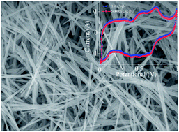 Graphical abstract: In situ hydrogenation of molybdenum oxide nanowires for enhanced supercapacitors