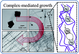 Graphical abstract: Complex-mediated growth mechanism of silver nanoparticles–poly(vinyl alcohol) composite nanofibers
