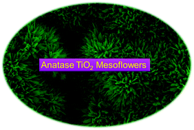 Graphical abstract: Flower-shaped anatase TiO2 mesostructures with excellent photocatalytic properties