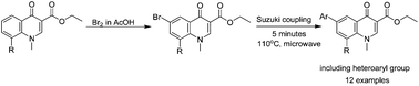 Graphical abstract: Synthesis of 6-aryl substituted 4-quinolones via Suzuki cross coupling