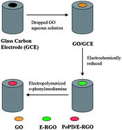 Graphical abstract: An electrochemical sensor for dopamine based on poly(o-phenylenediamine) functionalized with electrochemically reduced graphene oxide