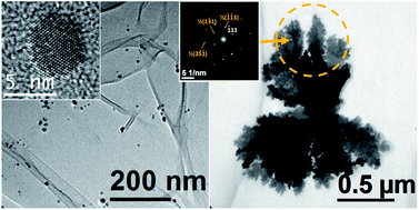 Graphical abstract: Synthesis of antibacterial silver-based nanodisks and dendritic structures mediated by royal jelly