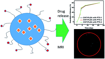 Graphical abstract: Microwave-assisted fabrication of carbon nanotubes decorated polymeric nano-medical platforms for simultaneous drug delivery and magnetic resonance imaging