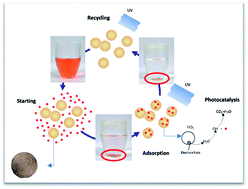 Graphical abstract: Self-regenerative adsorbent based on the cross-linking chitosan for adsorbing and mineralizing azo dye