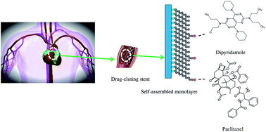 Graphical abstract: Interactions of anti-proliferative and anti-platelet drugs with self-assembled monolayers: a future strategy in stent development