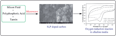 Graphical abstract: Microwave assisted synthesis and characterization of silicon and phosphorous co-doped carbon as an electrocatalyst for oxygen reduction reaction