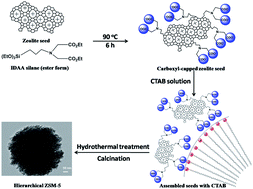 Graphical abstract: Synthesis of hierarchical ZSM-5 zeolite using CTAB interacting with carboxyl-ended organosilane as a mesotemplate