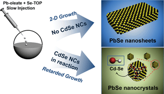 Graphical abstract: Slow colloidal growth of PbSe nanocrystals for facile morphology and size control