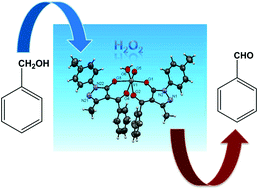Graphical abstract: Novel oxovanadium(iv) complexes with 4-acyl pyrazolone ligands: synthesis, crystal structure and catalytic activity towards the oxidation of benzylic alcohols