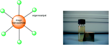 Graphical abstract: Magnetic nanoparticle-supported organocatalysts – an efficient way of recycling and reuse