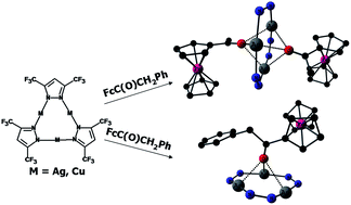 Graphical abstract: Role of basic sites of substituted ferrocenes in interaction with the trinuclear 3,5-bis(trifluoromethyl)pyrazolates: thermodynamics and structure of complexes