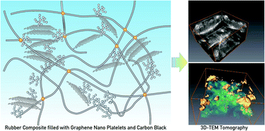 Graphical abstract: Nano-scale morphological analysis of graphene–rubber composites using 3D transmission electron microscopy