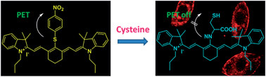 Graphical abstract: A near-infrared fluorescent sensor for selective detection of cysteine and its application in live cell imaging