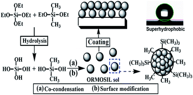 Graphical abstract: A one-pot sol–gel process to prepare a superhydrophobic and environment-resistant thin film from ORMOSIL nanoparticles