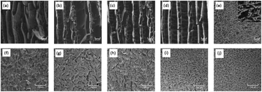 Graphical abstract: Preparation and characteristics of cellulose nanowhisker reinforced acrylic foams synthesized by freeze-casting