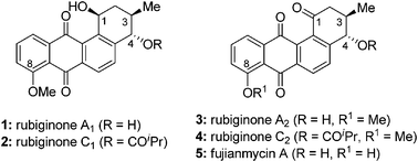 Graphical abstract: Total syntheses of rubiginone A2, C2, and fujianmycin A