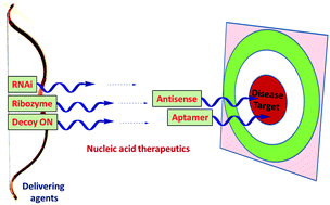 Graphical abstract: Nucleic acid therapeutics: basic concepts and recent developments