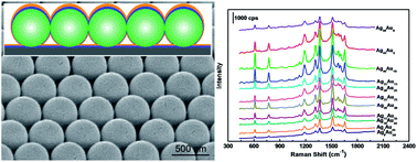 Graphical abstract: A controlled Ag–Au bimetallic nanoshelled microsphere array and its improved surface-enhanced Raman scattering effect