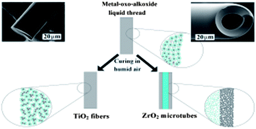 Graphical abstract: Study of the curing mechanism of metal alkoxide liquid threads for the synthesis of metal oxide fibers or microtubes