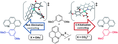 Graphical abstract: On the role of anionic ligands in the site-selectivity of oxidative C–H functionalization reactions of arenes