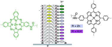 Graphical abstract: Double-channel photosystems with antiparallel redox gradients: templated stack exchange with porphyrins and phthalocyanines