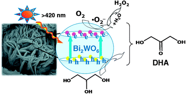 Graphical abstract: Identification of Bi2WO6 as a highly selective visible-light photocatalyst toward oxidation of glycerol to dihydroxyacetone in water