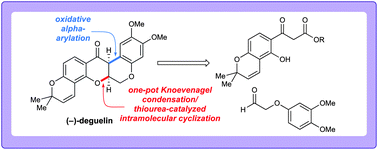 Graphical abstract: A concise enantioselective synthesis and cytotoxic evaluation of the anticancer rotenoid deguelin enabled by a tandem Knoevenagel/conjugate addition/decarboxylation sequence