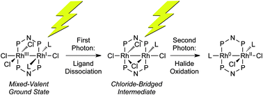 Graphical abstract: Halogen photoelimination from dirhodium phosphazane complexes via chloride-bridged intermediates