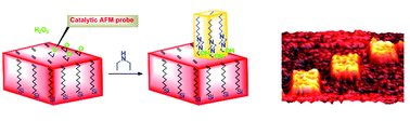 Graphical abstract: Grafting a homogeneous transition metal catalyst onto a silicon AFM probe: a promising strategy for chemically constructive nanolithography