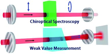 Graphical abstract: Amplifications in chiroptical spectroscopy, optical enantioselectivity, and weak value measurement