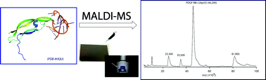 Graphical abstract: Direct access to aptamer–protein complexes via MALDI-MS