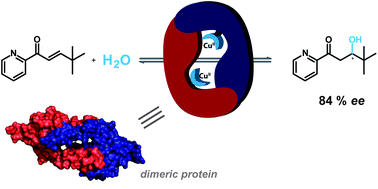 Graphical abstract: An enantioselective artificial metallo-hydratase