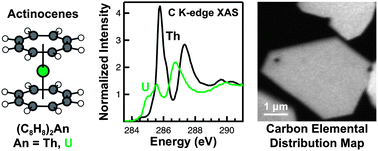 Graphical abstract: New evidence for 5f covalency in actinocenes determined from carbon K-edge XAS and electronic structure theory