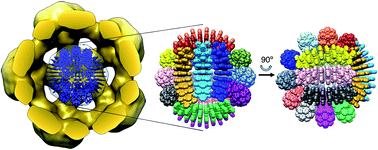 Graphical abstract: Self-assembly and characterization of small and monodisperse dye nanospheres in a protein cage