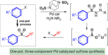 Graphical abstract: One-pot three-component sulfone synthesis exploiting palladium-catalysed aryl halide aminosulfonylation