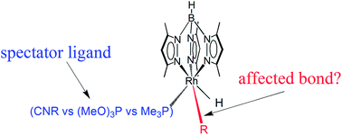 Graphical abstract: Synthesis and energetics of Tp′Rh[P(OMe)3](R)H: a systematic investigation of ligand effects on C–H activation at rhodium