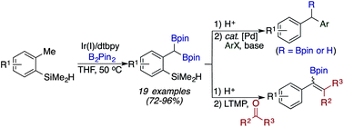 Graphical abstract: Iridium-catalyzed diborylation of benzylic C–H bonds directed by a hydrosilyl group: synthesis of 1,1-benzyldiboronate esters
