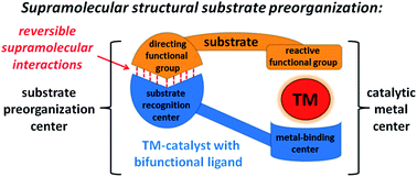 Graphical abstract: Supramolecular control of selectivity in transition-metal catalysis through substrate preorganization