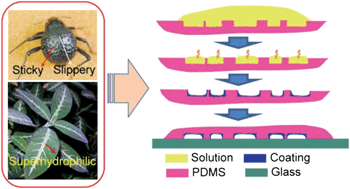 Graphical abstract: Bio-inspired three-dimensional self-patterning of functional coatings for PDMS microfluidics